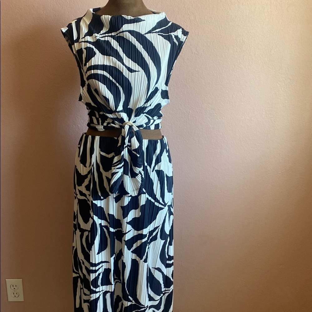 Cable & Gauge Black and White Pleated Abstract Print Skirt and Top